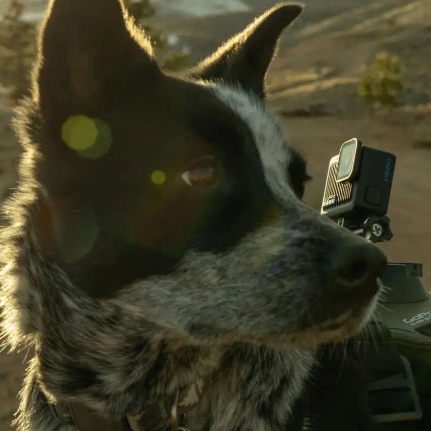 Cámara Compacta GoPro HERO, 12MP, Pantalla táctil, Wi-Fi, Bluetooth, Sumergible