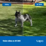Cámara de Seguridad Wi-Fi TP-Link Tapo C425, 2K QHD, 4 MP, Visión nocturna color, Alimentada por batería, Exterior