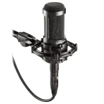Micrófono de Condensador Cardioide Audio-Technica AT2035