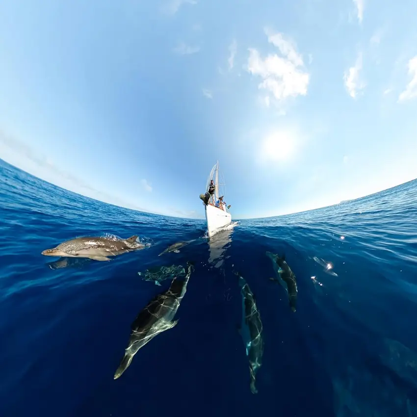 Cámara GoPro MAX 360 (2025), 16.6MP, Pantalla táctil, Wi-Fi, Bluetooth, Sumergible Cámara GoPro MAX 360 (2025), 16.6MP, Pantalla táctil, Wi-Fi, Bluetooth, Sumergible