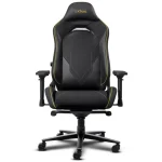 Silla Gamer Trust GXT 721 Ruya Pro Negro
