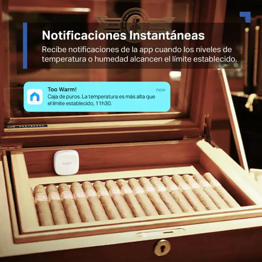 Sensor de Temperatura y Humedad Inteligente TP-Link Tapo T310 Sensor de Temperatura y Humedad Inteligente TP-Link Tapo T310