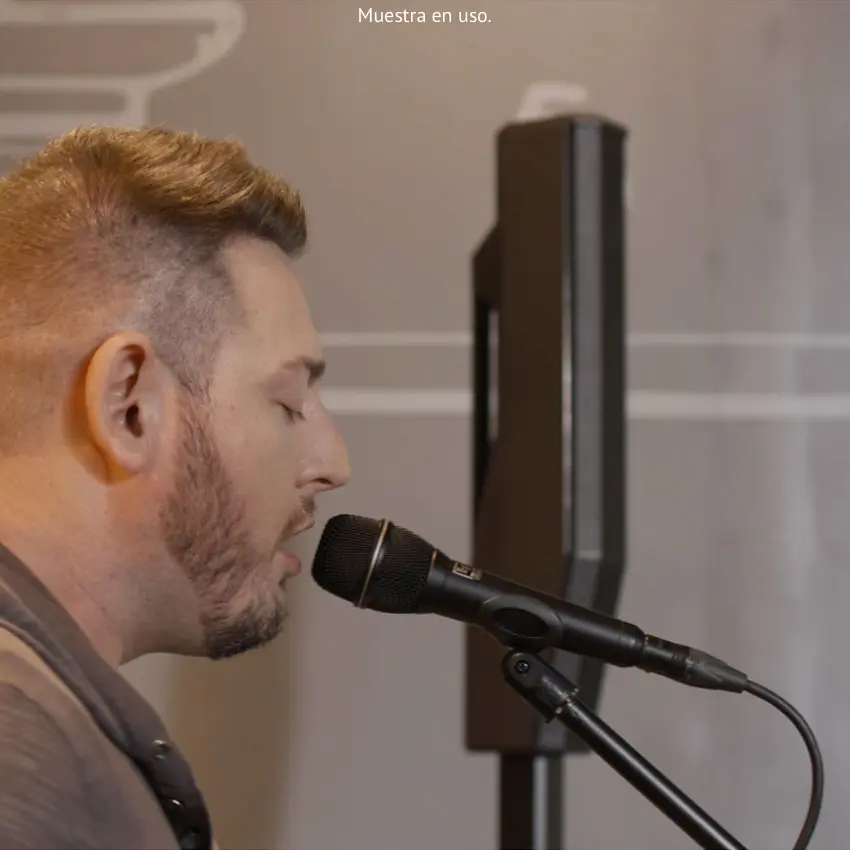 Sistema de Sonido de Columna Electro-Voice EVOLVE 30M, Woofer 10", Potencia 1000W, Todo en uno, Mezclador, Bluetooth y DSP (Negro)