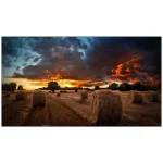 Pantalla Profesional Samsung VM46B-U, 46", FHD 1920x1080, Video Wall