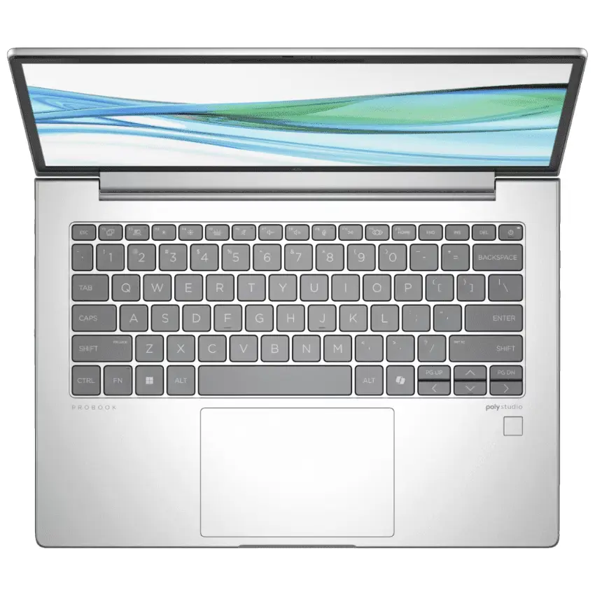 Notebook HP ProBook 445 G11, 14", Plateado